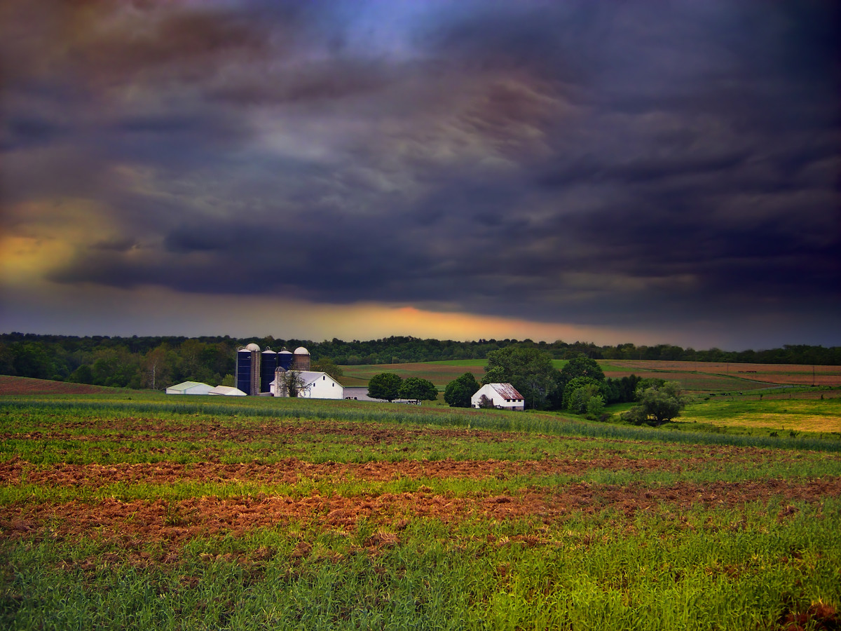 Lancaster County Housing Market Fall 2025